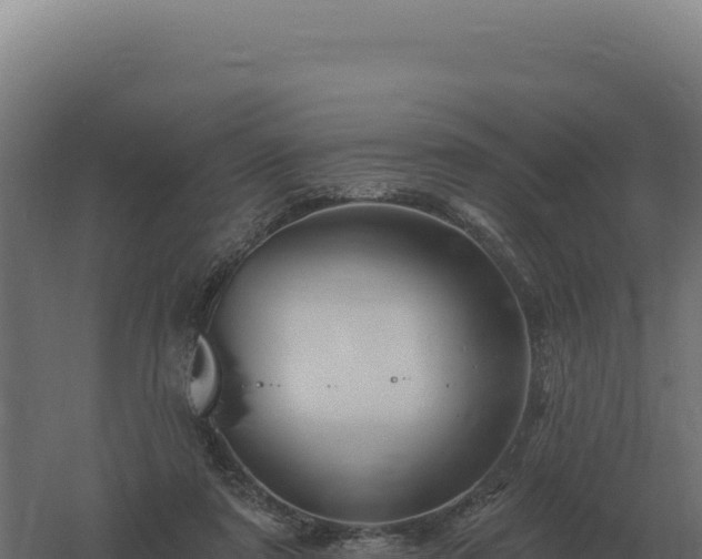 X0000061150307200511241838