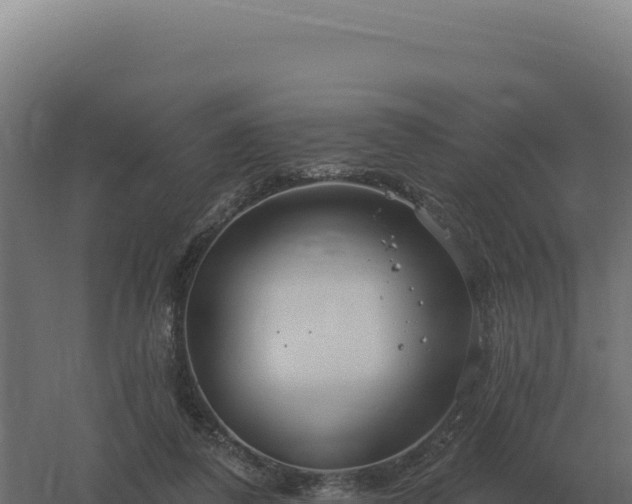 X0000061150308200511241838