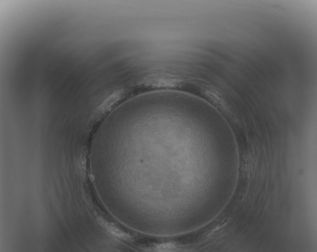 X0000061150309200511241838