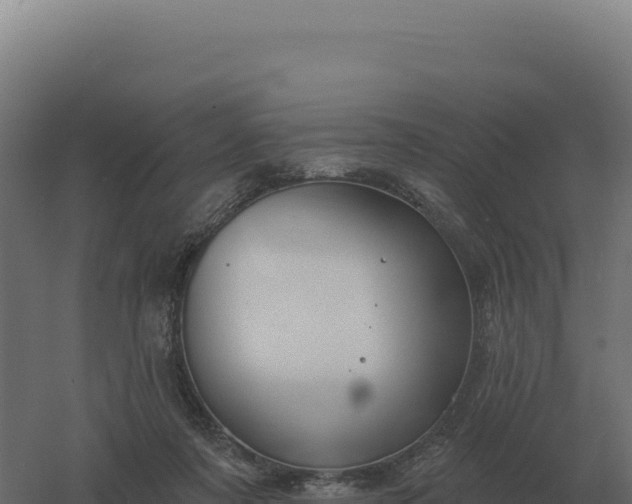 X0000061150311200511241838