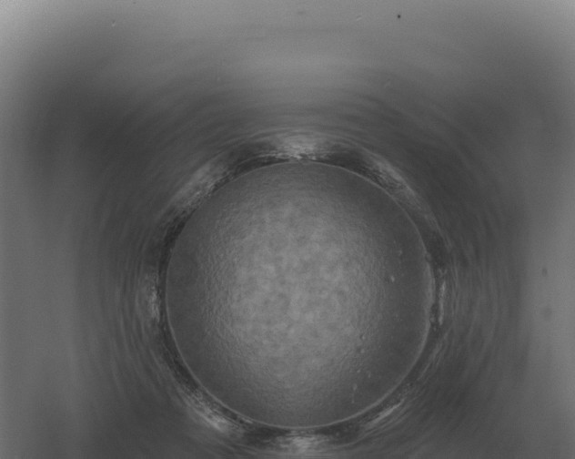 X0000061150313200511241838