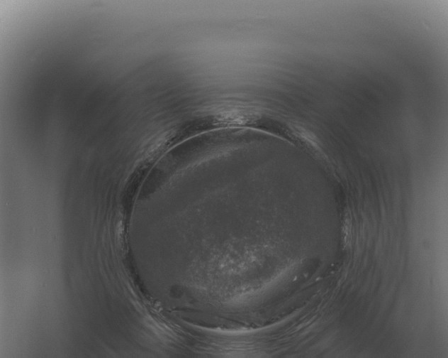 X0000061150314200511241838