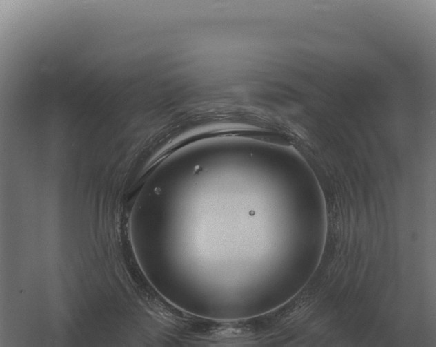 X0000061150315200511241838