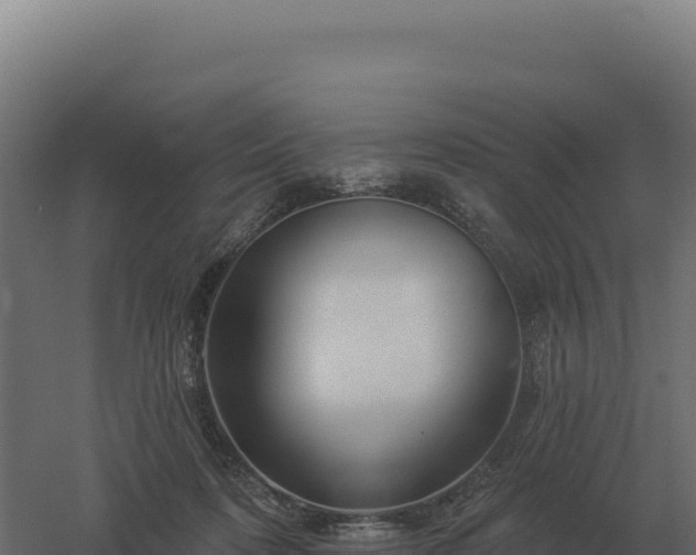 X0000061150316200511241838