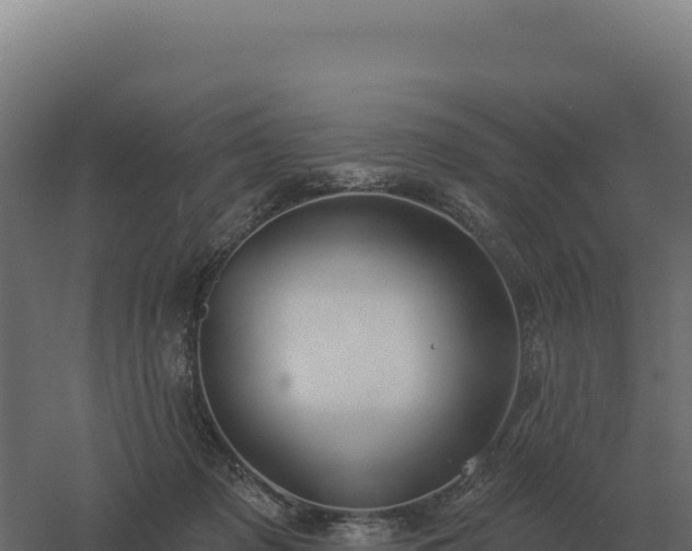 X0000061150317200511241838