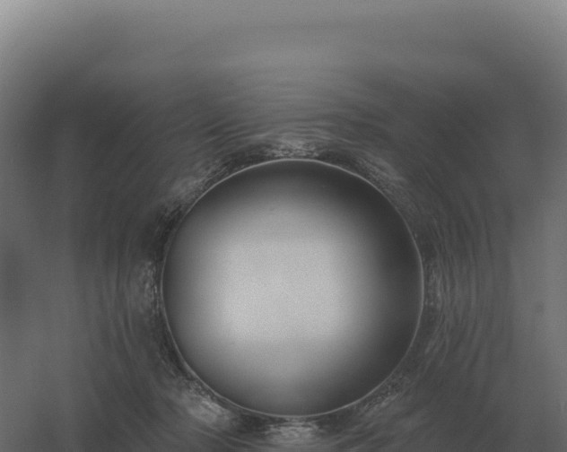 X0000061150318200511241838