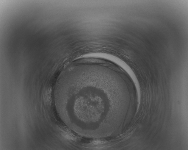 X0000061150319200511241838