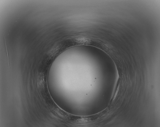 X0000061150320200511241838