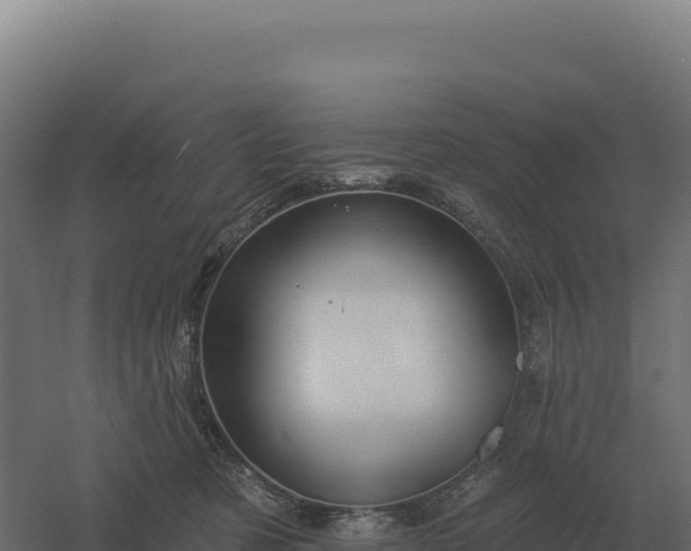 X0000061150321200511241838