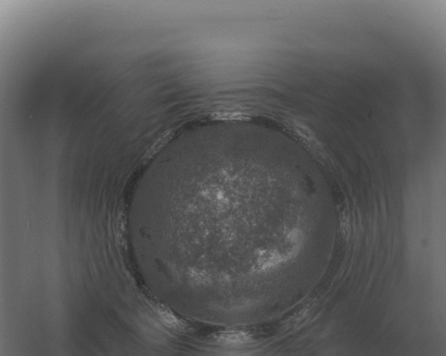 X0000061150322200511241838