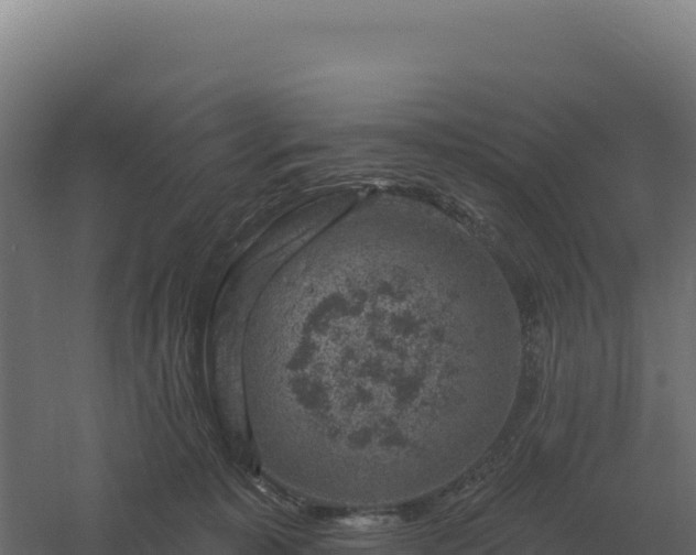 X0000061150323200511241838