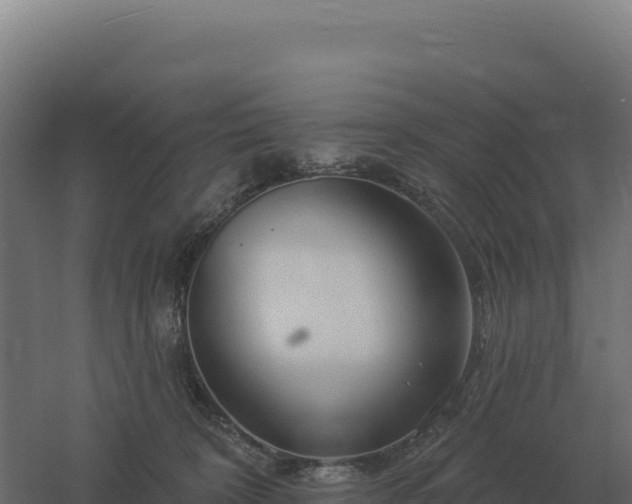 X0000061150324200511241838