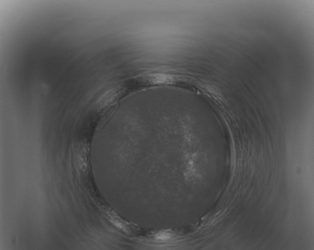 X0000061150325200511241838