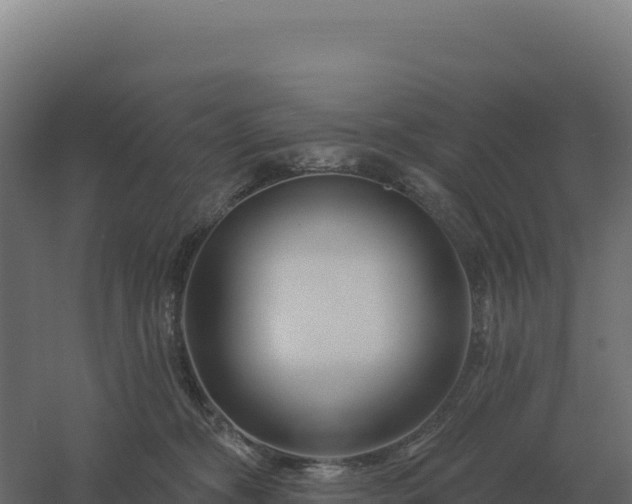 X0000061150326200511241838