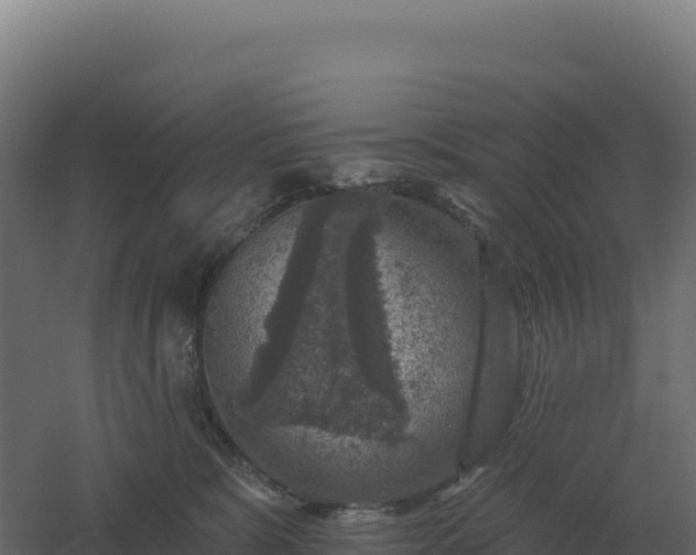 X0000061150327200511241838