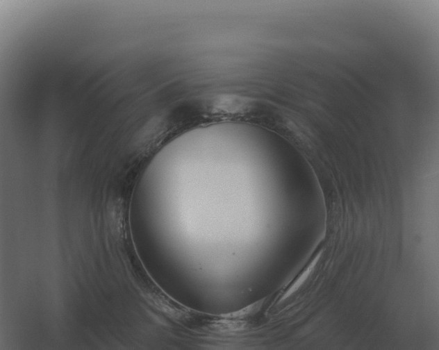 X0000061150328200511241838