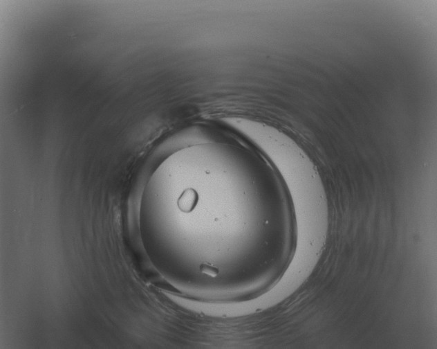 X0000061150329200511241838