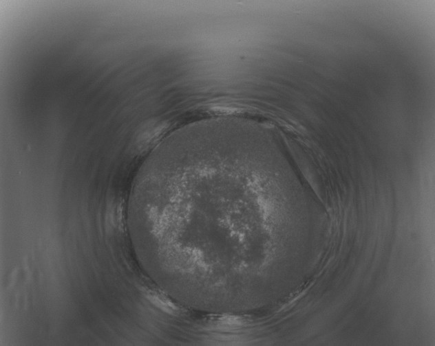 X0000061150330200511241838