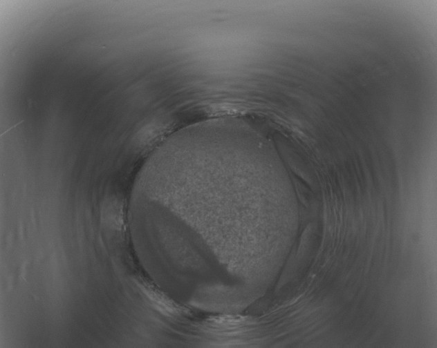 X0000061150331200511241838