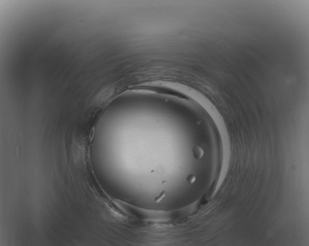 X0000061150333200511241837