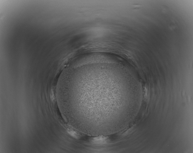 X0000061150335200511241837