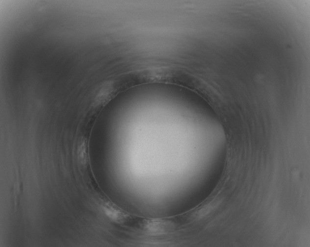 X0000061150336200511241837