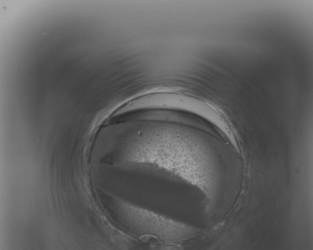 X0000061150337200511241837