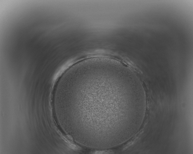 X0000061150341200511241837