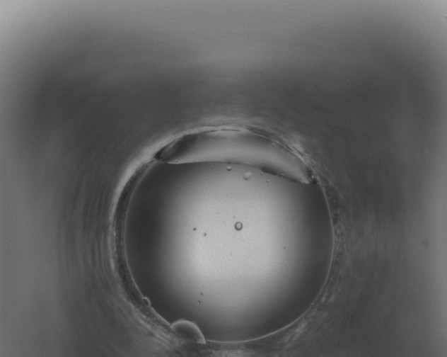 X0000061150342200511241837