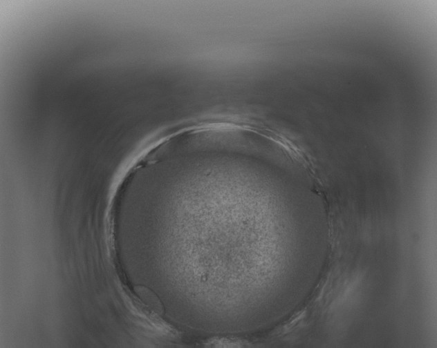 X0000061150343200511241837