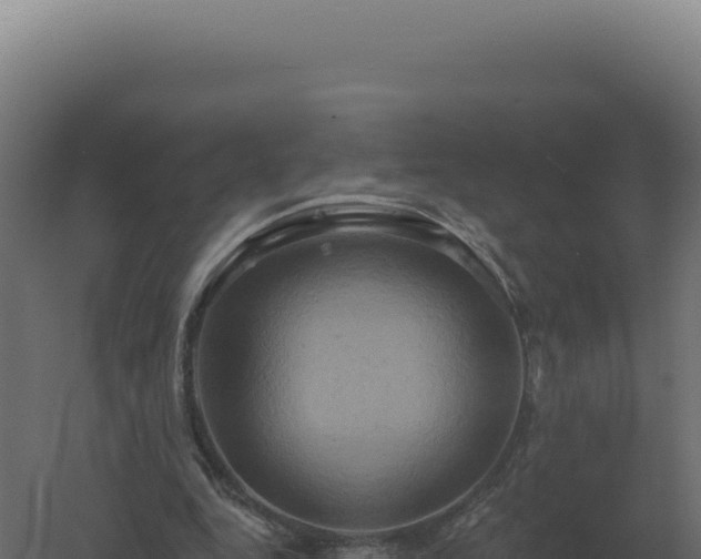 X0000061150344200511241837