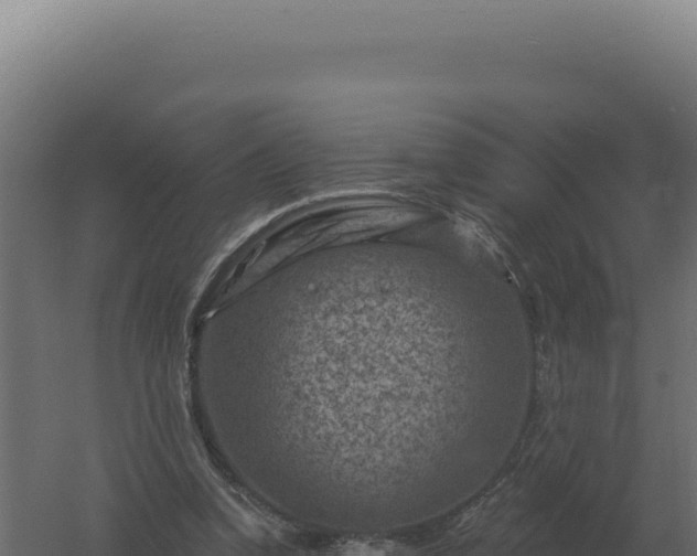 X0000061150346200511241837