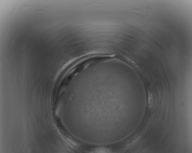 X0000061150348200511241837