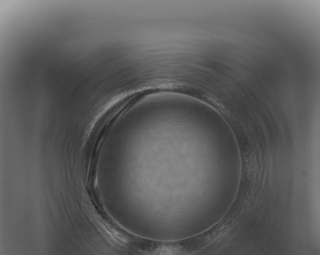 X0000061150350200511241837