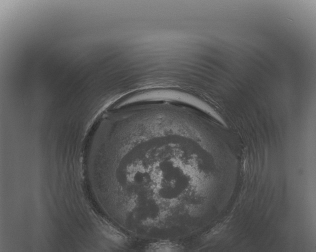 X0000061150351200511241837