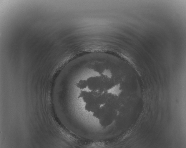 X0000061150353200511241837