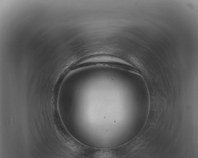 X0000061150354200511241837