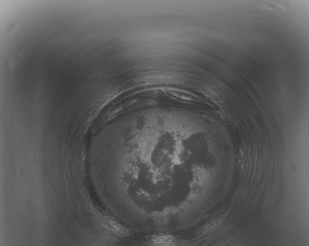 X0000061150355200511241837