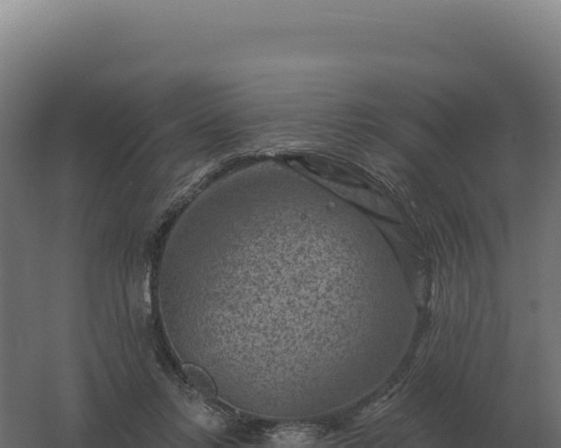 X0000061150358200511241837