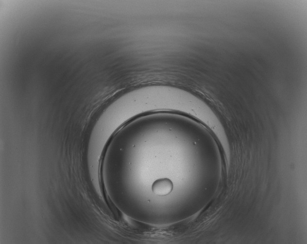 X0000061150359200511241837