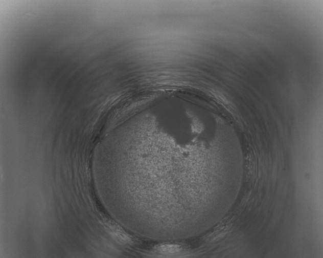 X0000061150361200511241837