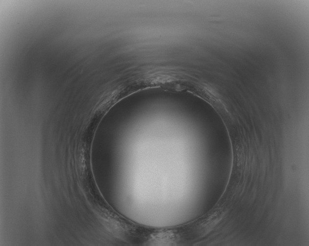 X0000061150362200511241837