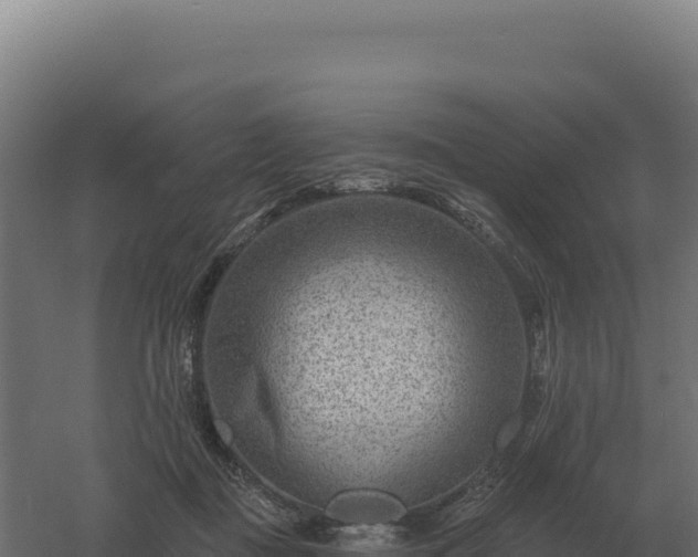 X0000061150363200511241837