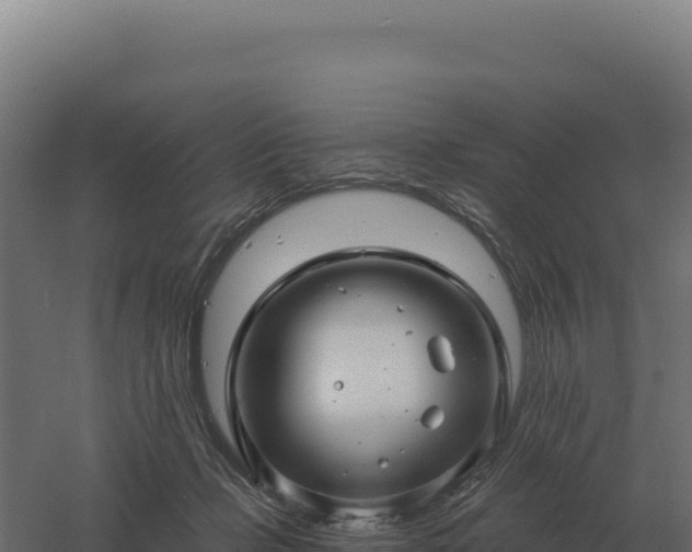 X0000061150365200511241837