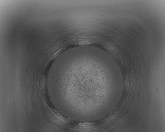 X0000061150367200511241837