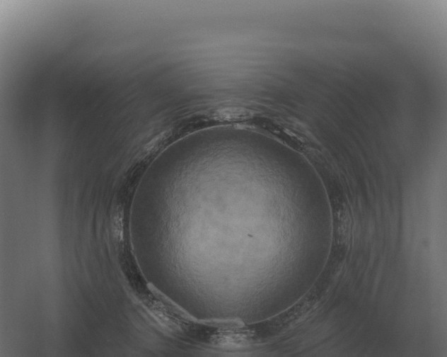 X0000061150368200511241837