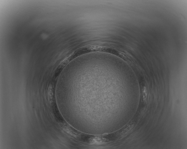 X0000061150372200511241837