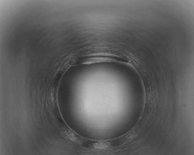 X0000061150373200511241837