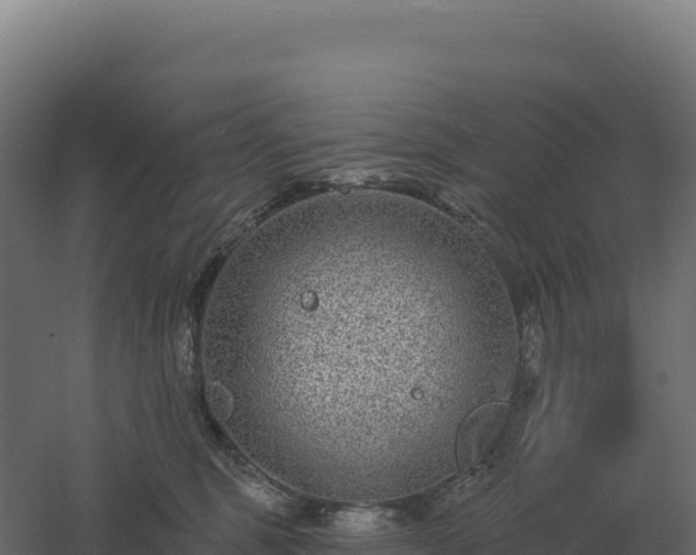 X0000061150375200511241837