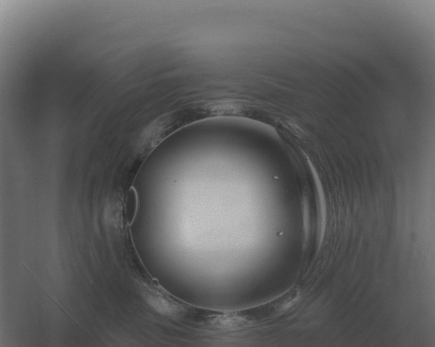 X0000061150379200511241837